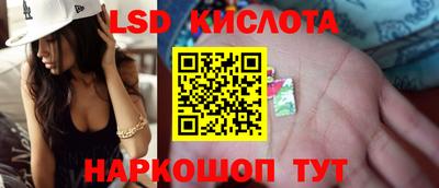 гашик Будённовск