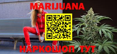 гашик Будённовск