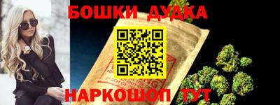 гашик Будённовск