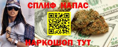 гашик Будённовск