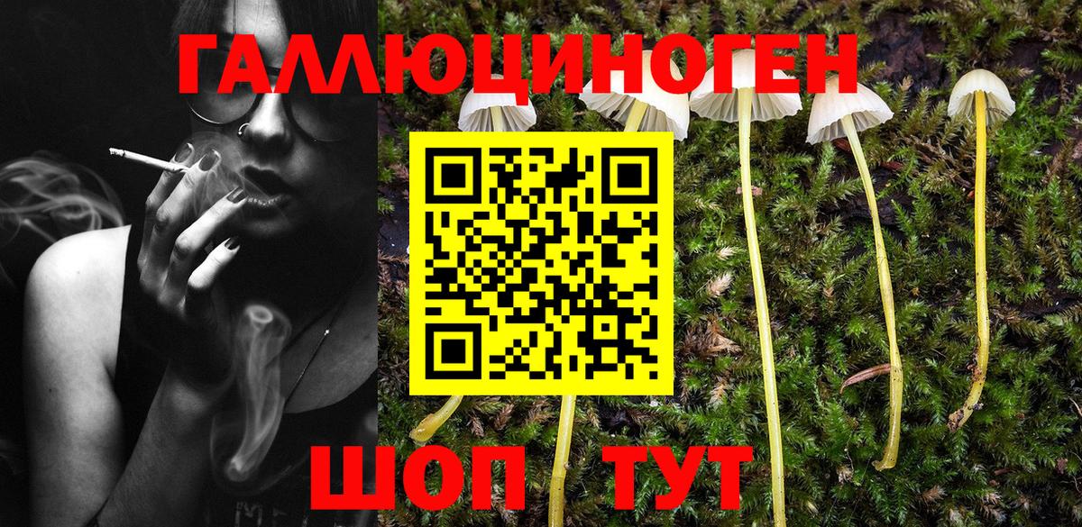Галлюциногенные грибы Psilocybe Шахты