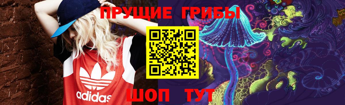 Шахты  Псилоцибиновые грибы GOLDEN TEACHER  Вход с VPN  Галлюциногенные грибы мухоморы 