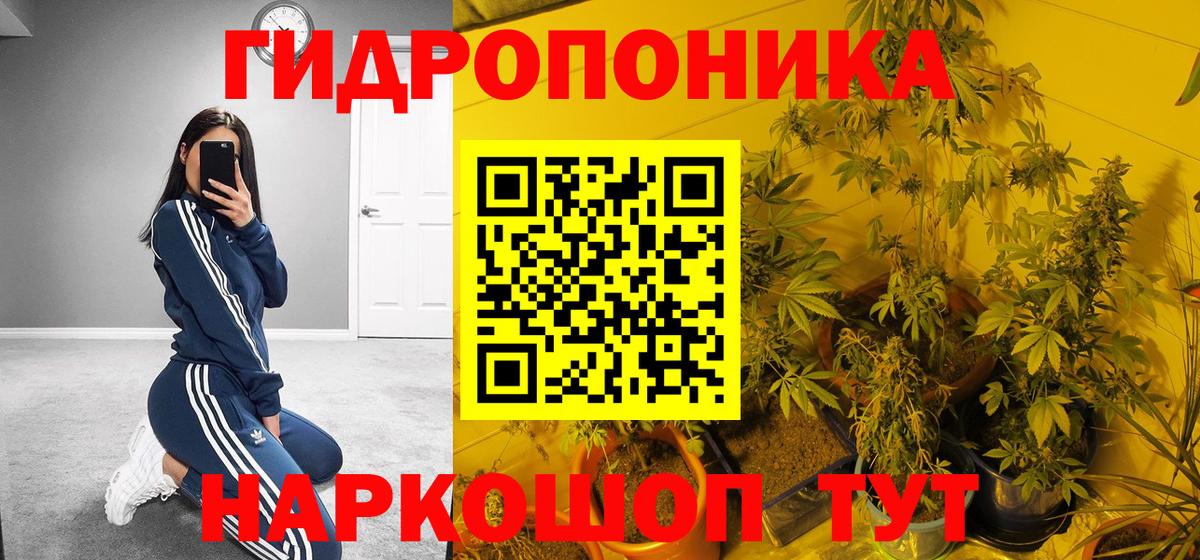 Марихуана OG Kush Шахты