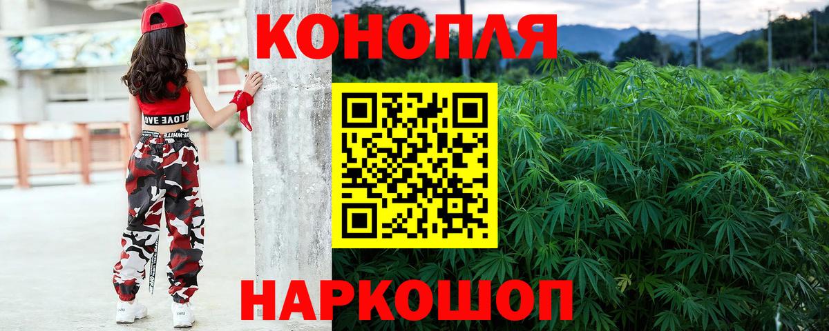 Шахты  Бошки Шишки ГИДРОПОН  Вход с VPN  Канабис Bruce Banner 